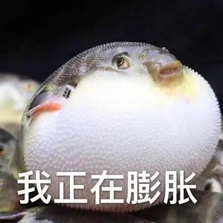 有的妈妈膨胀了，给娃吃燕窝也安排上了