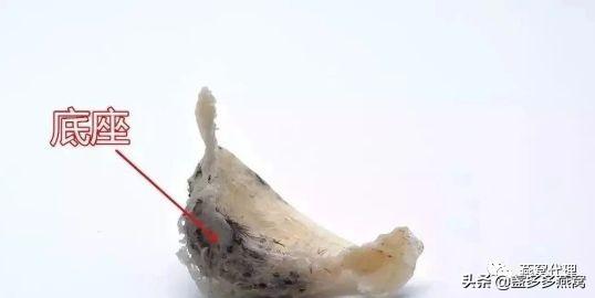 燕窝的不同规格的区别，燕窝底座、燕角、燕盏身、囊丝是什么？