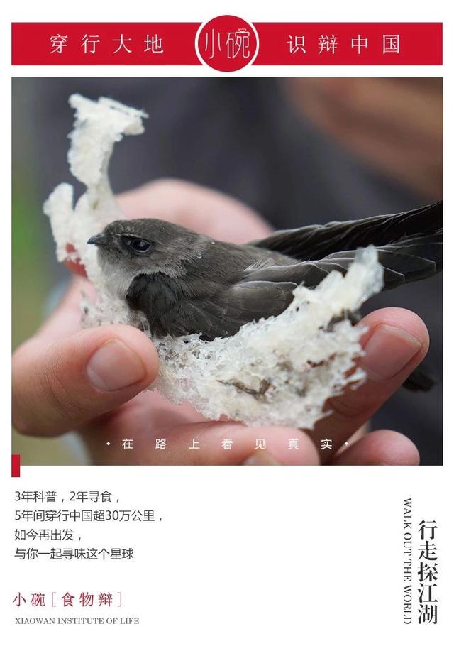 即食燕窝爱美的人天天吃，但怎样才能买到好的呢？