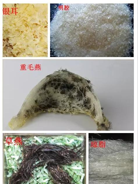 关于燕条燕碎你一定要了解的这些事儿~