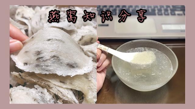 燕窝那么贵可不要乱买乱煮，批发商分享的燕窝选购做法知识小归纳