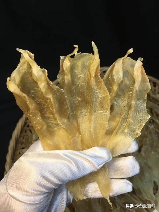 花胶和燕窝哪个好？花胶和燕窝有什么区别？