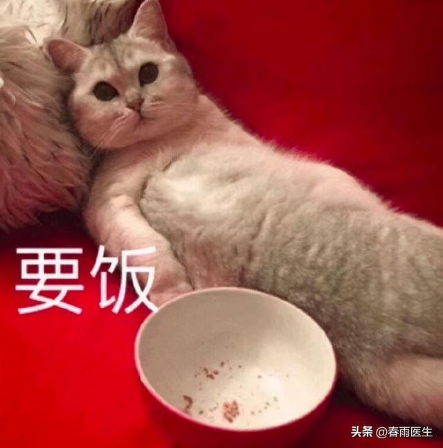 “大补”的燕窝，真实功效可能还不如补个蛋？