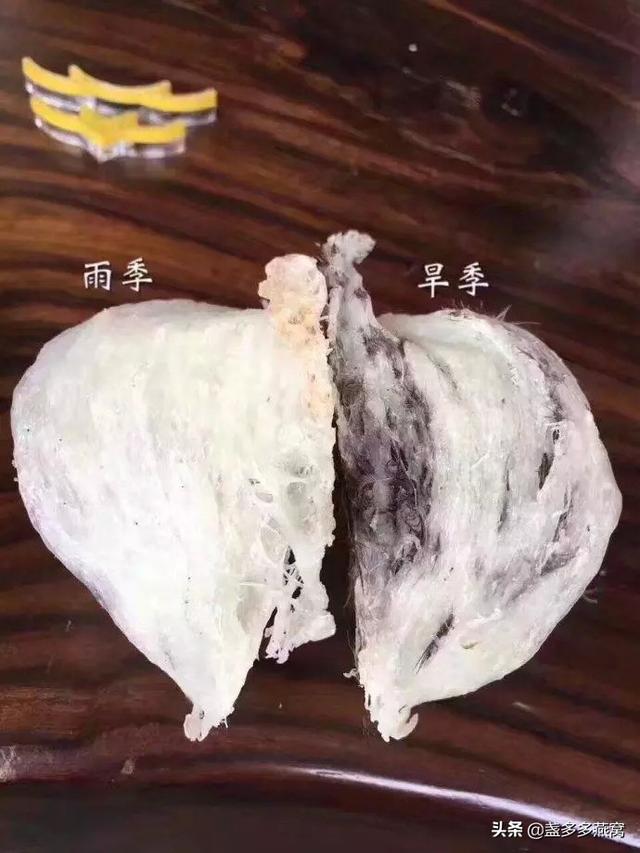 这些燕窝知识新手必看