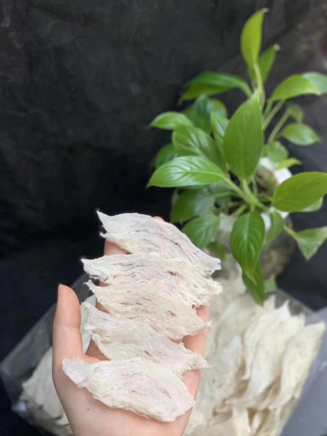燕窝能百搭？不开玩笑，就给你100种燕窝的做法！
