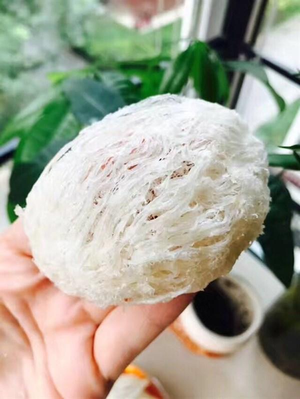 燕窝的功效与作用
