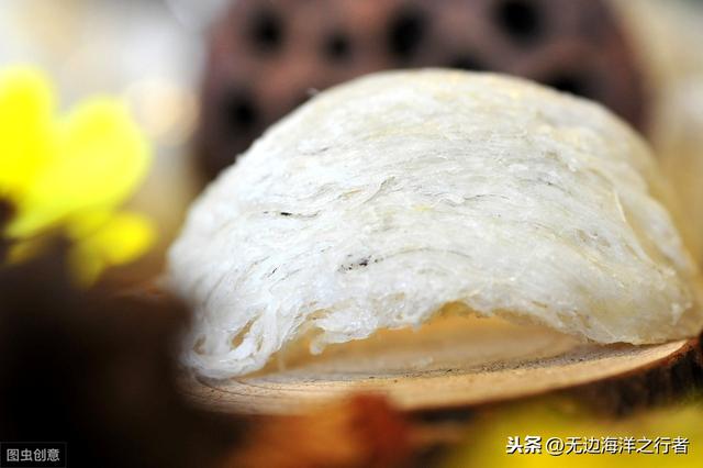 燕窝是啥、燕窝是什么来的、燕窝是个什么样东西做成—燕窝的种类