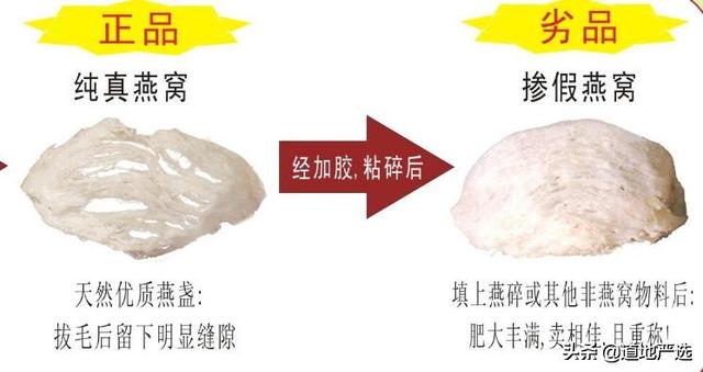 燕窝这么贵，要买有点“脏”的，太干净的千万别买