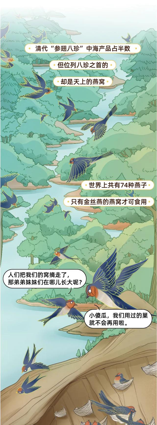 “燕窝”的历史（漫画）