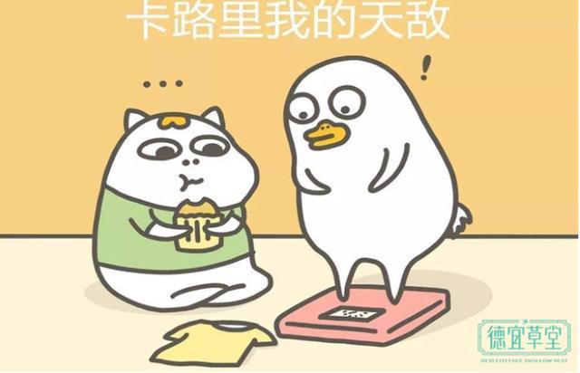 燃烧我的卡路里，减肥期能不能吃燕窝