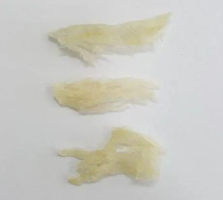 进口燕窝那些事