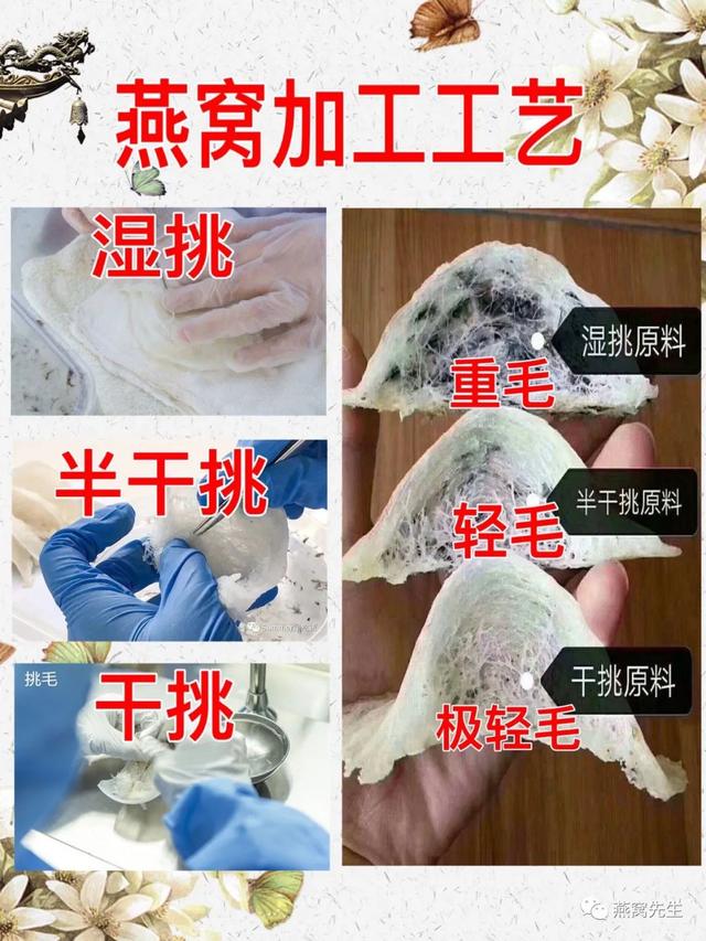 新手如何选择燕窝？干挑燕窝！湿挑燕窝！燕窝等级