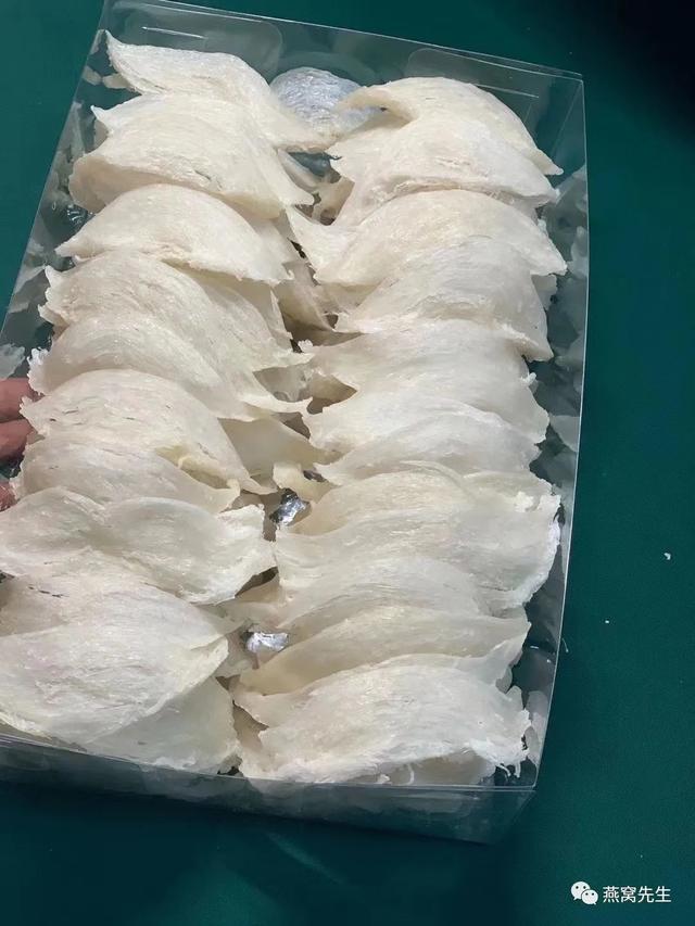 燕盏、燕条、燕角、燕碎营养一样吗？泡发率、炖煮时间、口感如何
