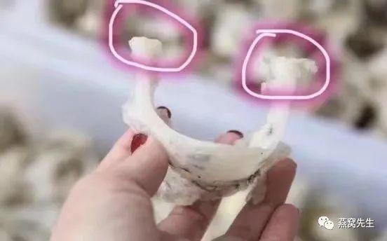燕角是什么？燕角泡发不开是“刷胶”吗？