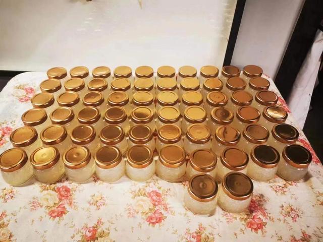 燕窝，让痛苦来得更猛烈些吧