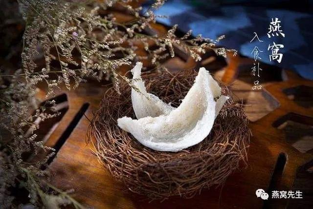 聊一聊丨关于燕窝你不得不知道的事