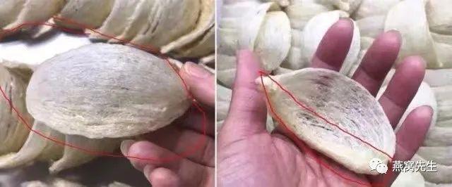 两种燕窝吃不得，吃燕窝的都该知道，燕窝真假辨别，刷胶漂白燕窝