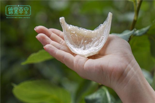 好燕窝和一般的燕窝区别竟然这么大？别再贪图便宜了