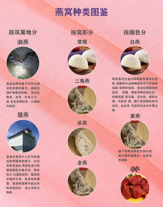 燕窝笔记第2期，燕窝分类图鉴详细介绍