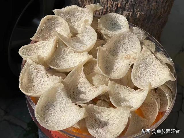顶级燕窝——洞燕