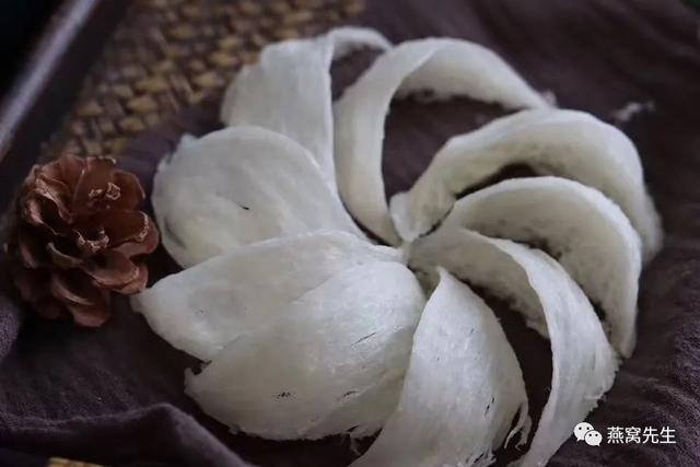 为什么不同燕窝之间，价格差距这么大？什么燕窝最正宗？